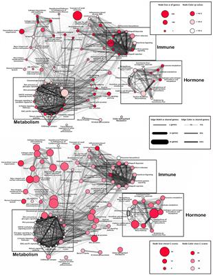 Genetic Predisposition for Immune System, Hormone, and Metabolic Dysfunction in Myalgic Encephalomyelitis/Chronic Fatigue Syndrome: A Pilot Study